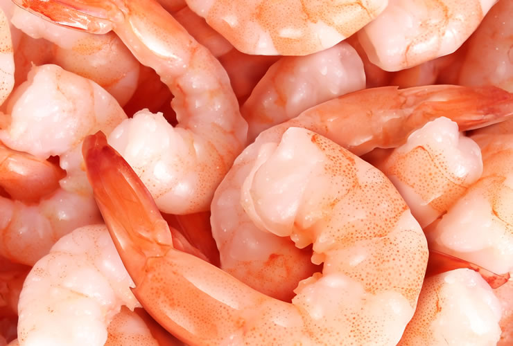 Miolo de Camarão